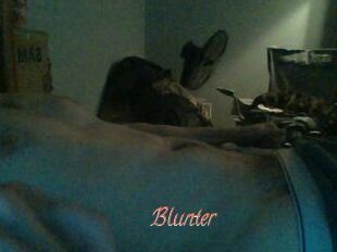 Blunter