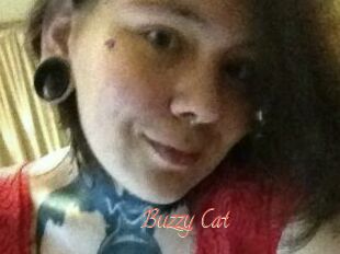 Buzzy_Cat