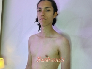 Biimbosouls