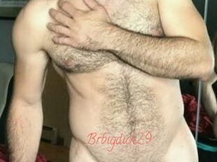 Brbigdick29