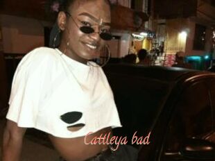 Cattleya_bad