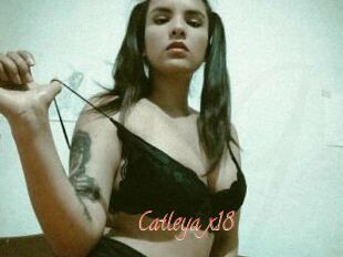 Catleya_x18