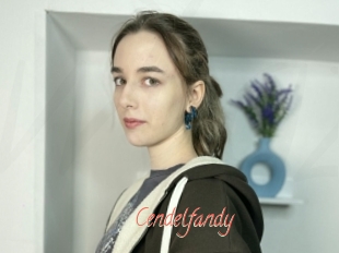 Cendelfandy