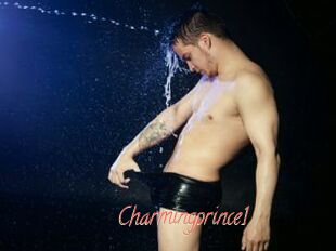 Charmingprince1