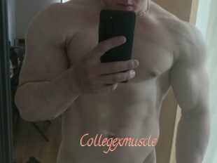 Collegexmuscle