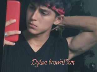 Dylan_brown15cm