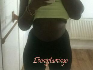 Ebony_flamingo