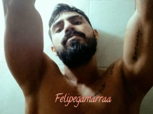 Felipegamarraa