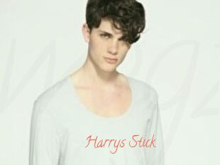 Harrys_Stick