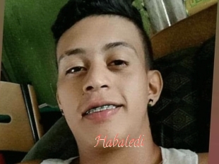 Habaledi