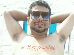 Hornybeachboy