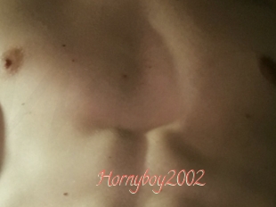 Hornyboy2002