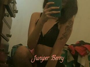 Juniper_Berry