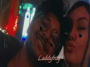 Laddybug