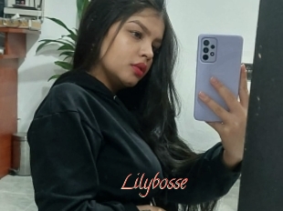 Lilybosse