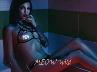 MEOW_Wild