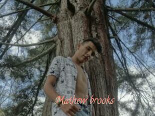 Mathew_brooks