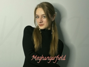 Meghangarfield