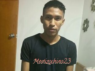 Mestizochino23