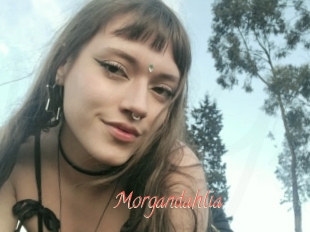 Morgandahlia