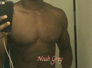 Noah_Grey