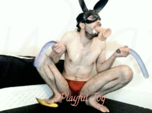 Playful_Toy