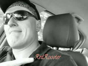 RedRooster