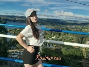 Rosimoreau