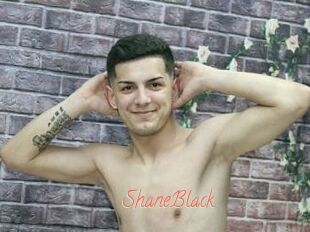 ShaneBlack