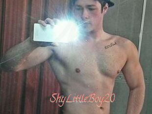 ShyLittleBoy20