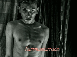 Sammuseharrison