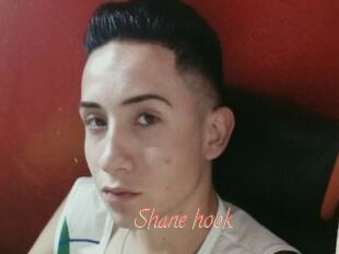 Shane_hook