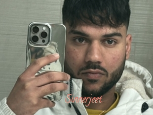 Sinnerjeet