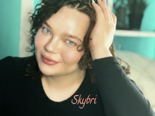 Skybri