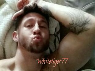 Whitetiger77