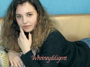 Whitneydiligent