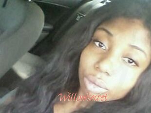 Willow_secret