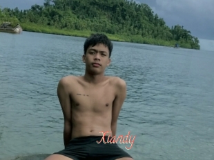 Xiandy