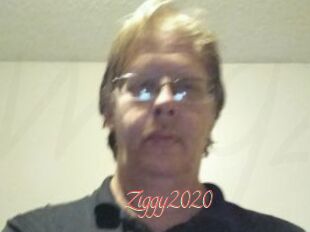 Ziggy2020